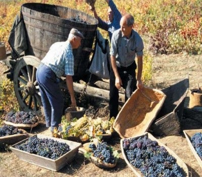 AUTUNNO IN BARBAGIA ATZARA OLZAI OVODDA